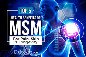 Potential Health Benefits of MSM