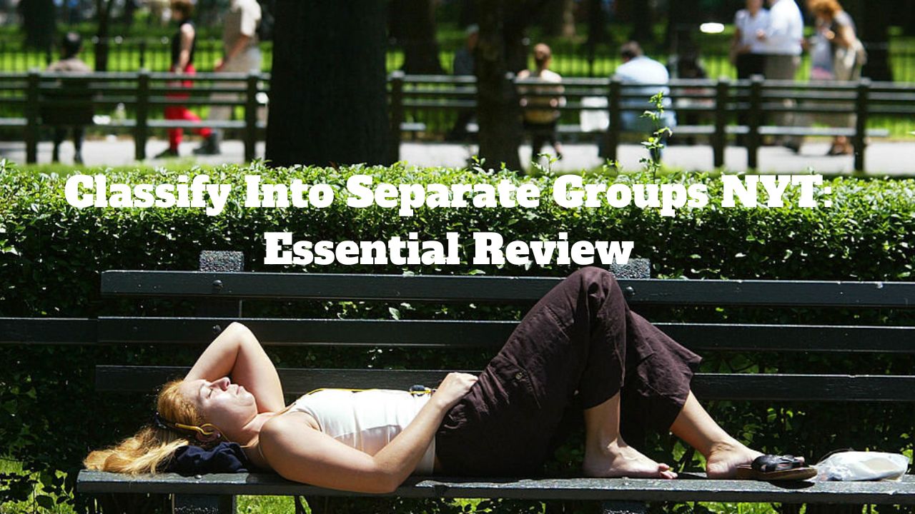 classify into separate groups nyt